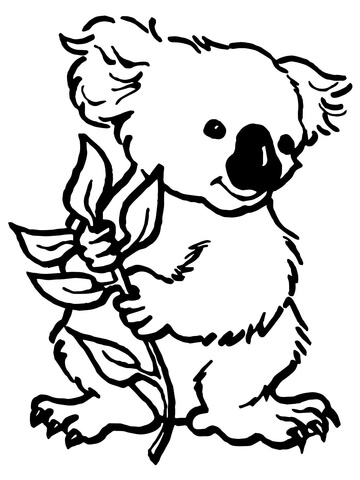 Koala With Eucalyptus Leaf Coloring Page